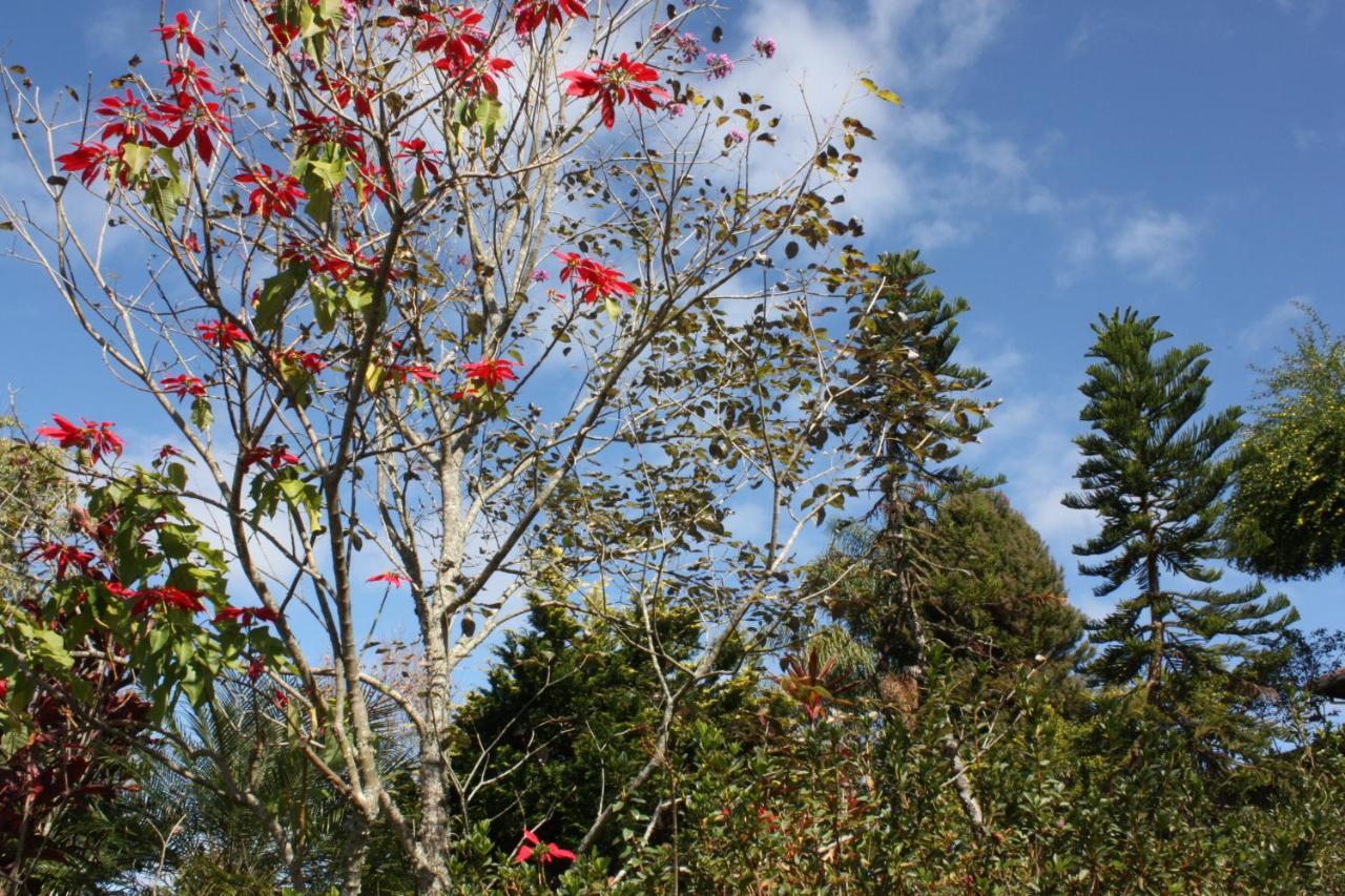 Pousada Campestre Sitio Da Lua Camanducaia Zewnętrze zdjęcie