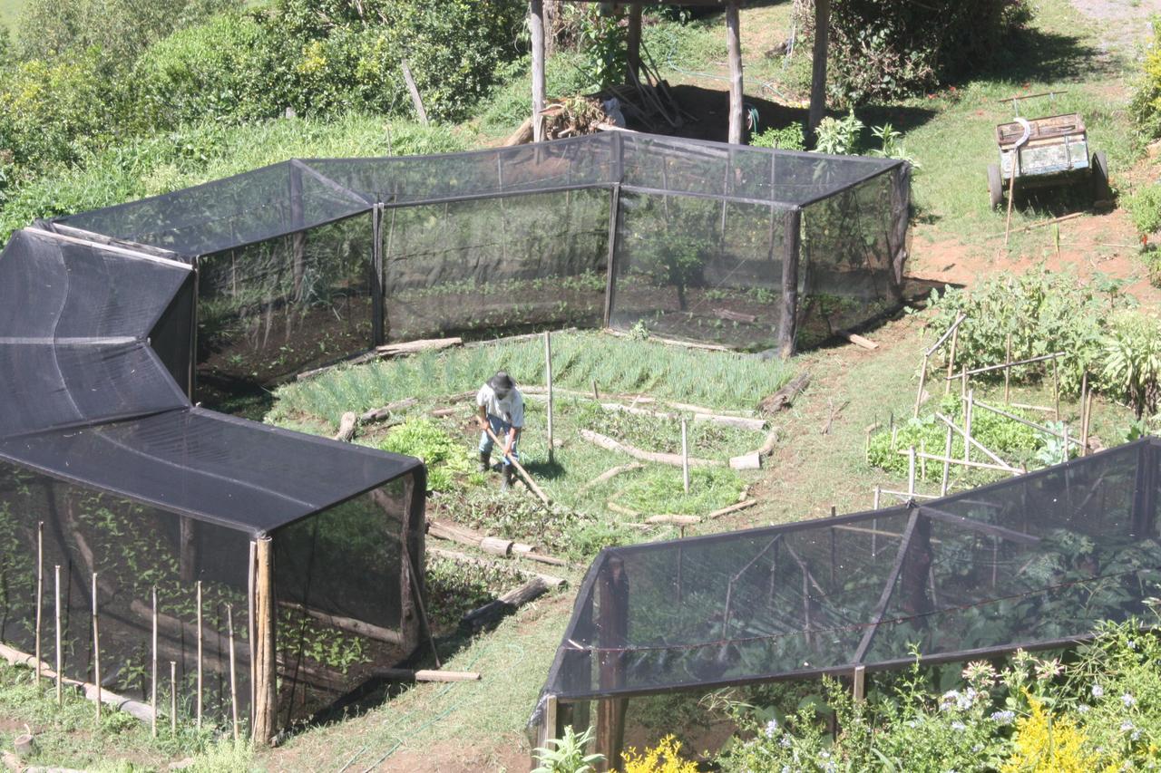 Pousada Campestre Sitio Da Lua Camanducaia Zewnętrze zdjęcie
